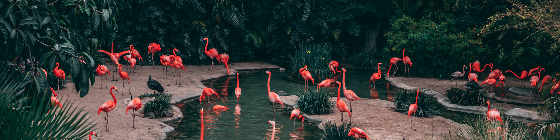 张家界新思路国际旅行社有限公司驻马店第一网点